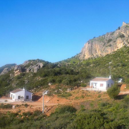 La Solana de turón. La coscoja. Vila Ardales Exterior foto