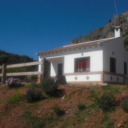 La Solana de turón. La coscoja. Vila Ardales Exterior foto