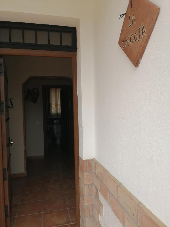 La Solana de turón. La coscoja. Vila Ardales Exterior foto